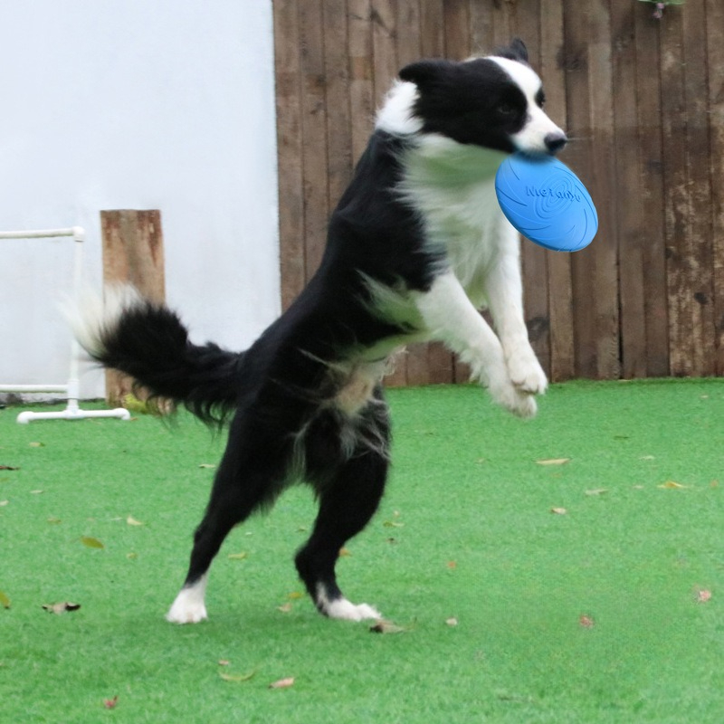 Frisbee Freestyle Disc - Фрисби для собак, специальный фрисби для