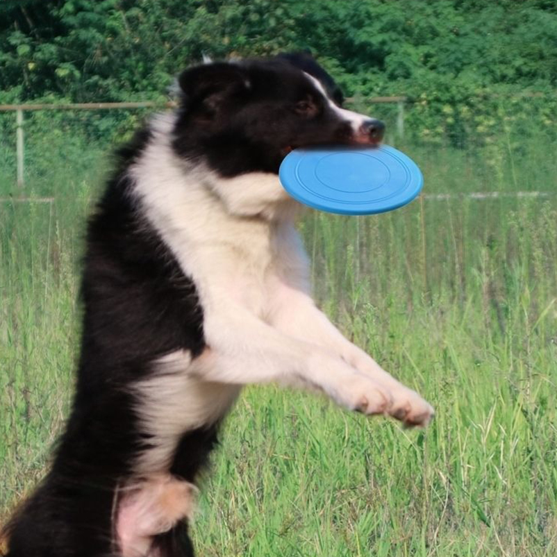 Силиконовый фрисби для собак,  – обзор и цена Frisbee Freestyle Disc