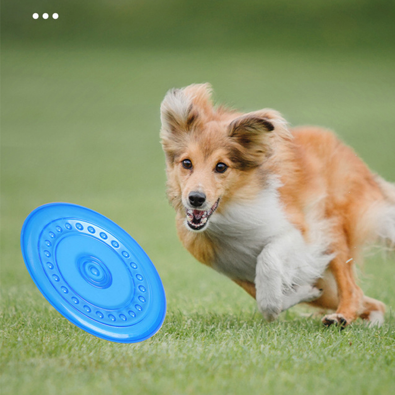 Прочная жевательная игрушка-фр – обзор и цена Frisbee Freestyle Disc